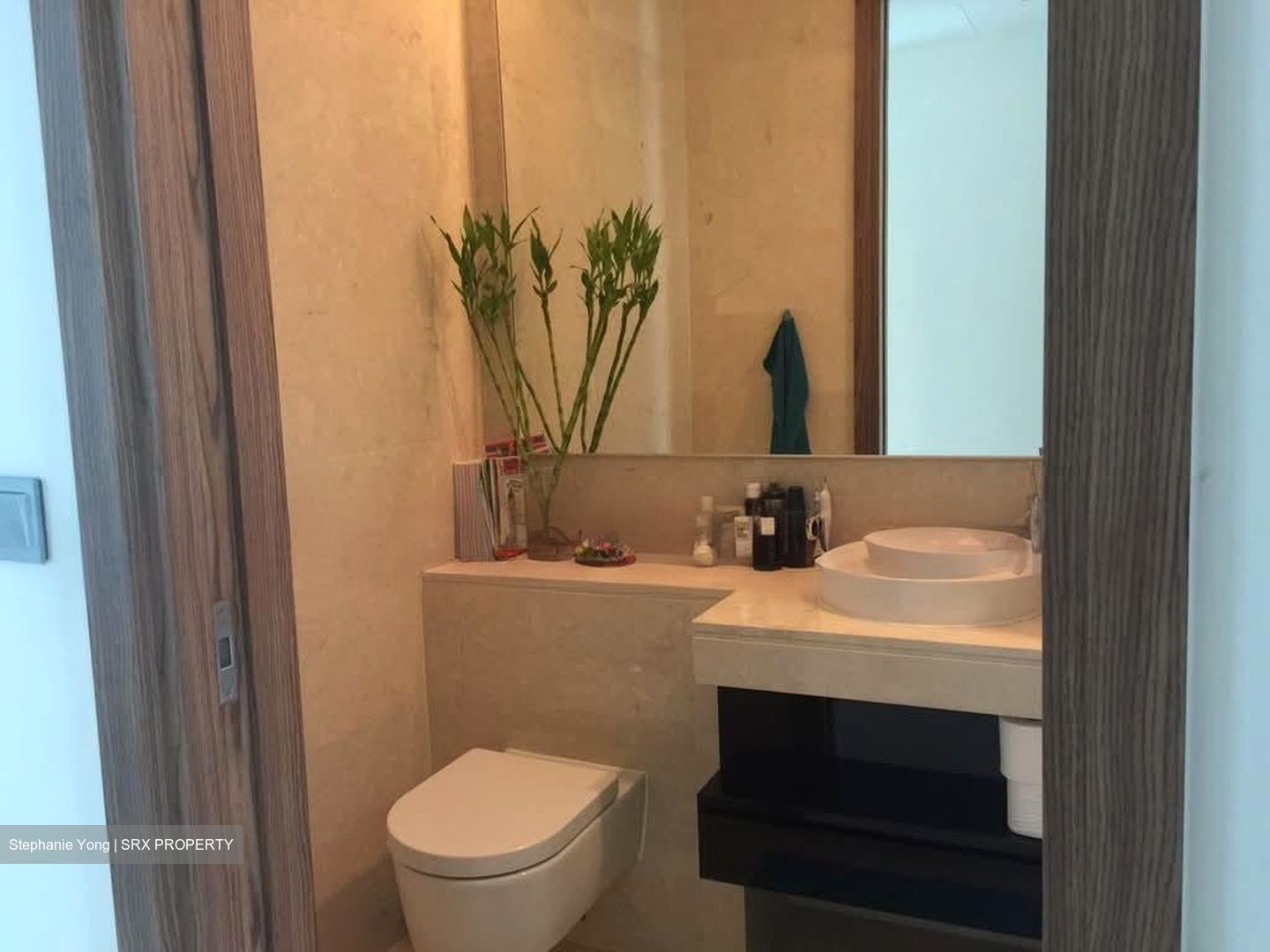 Volari (D10), Condominium #577785221